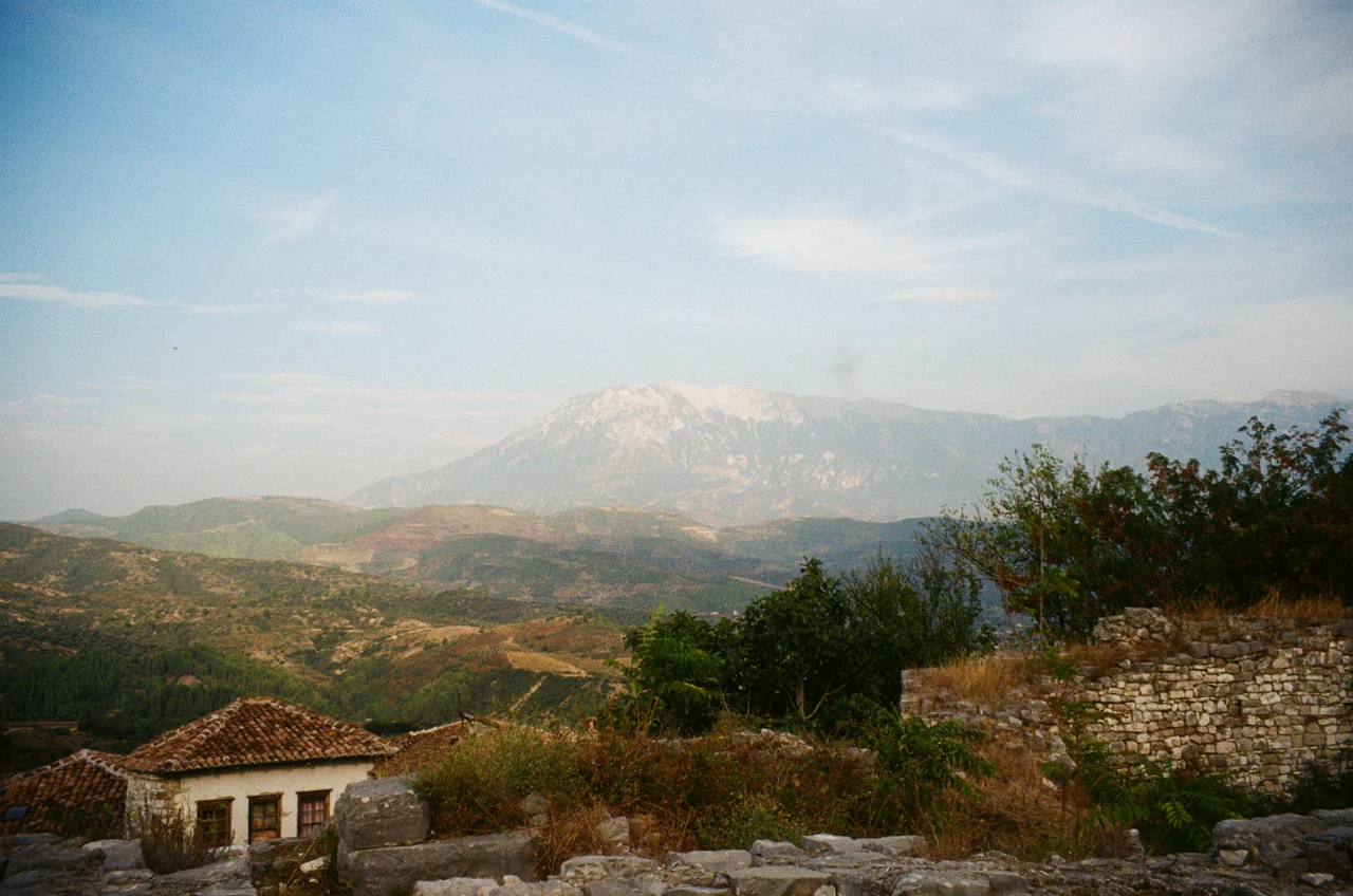 Photograph